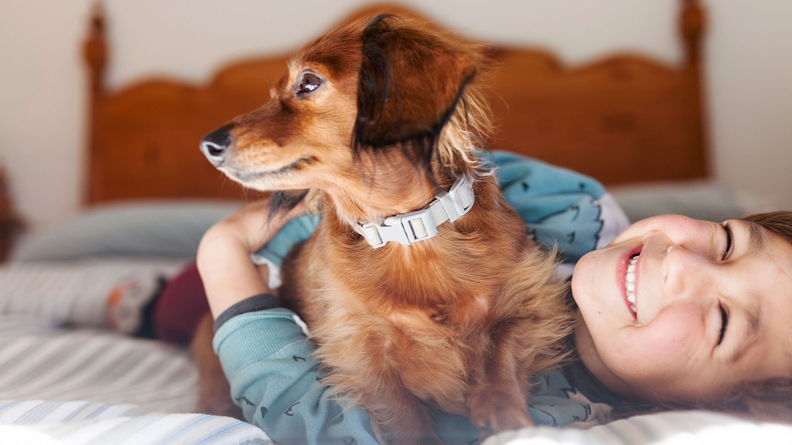 Beneficios de las mascotas para niños trasplantados: un niño con su perro