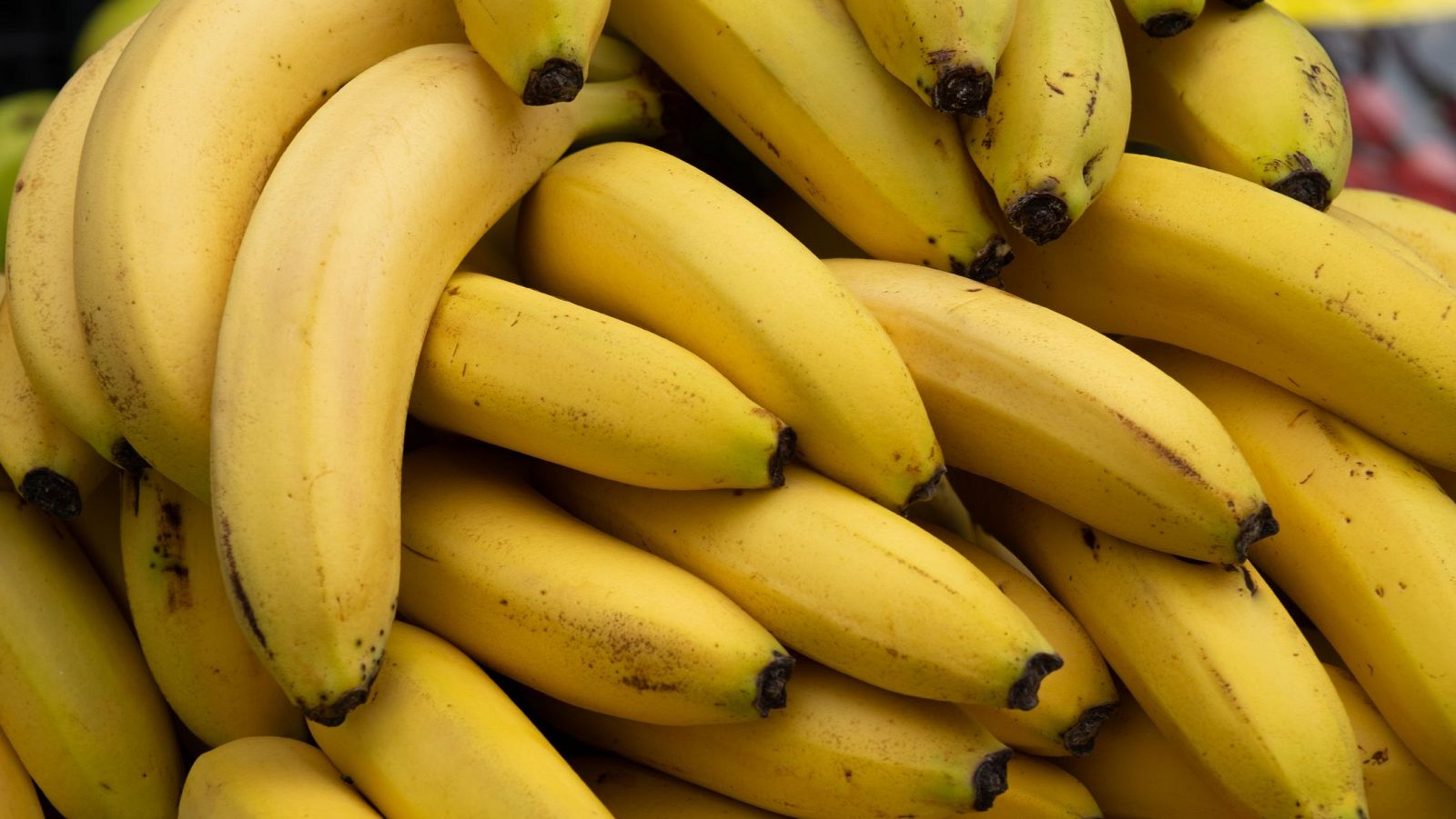Curiosidades de los plátanos