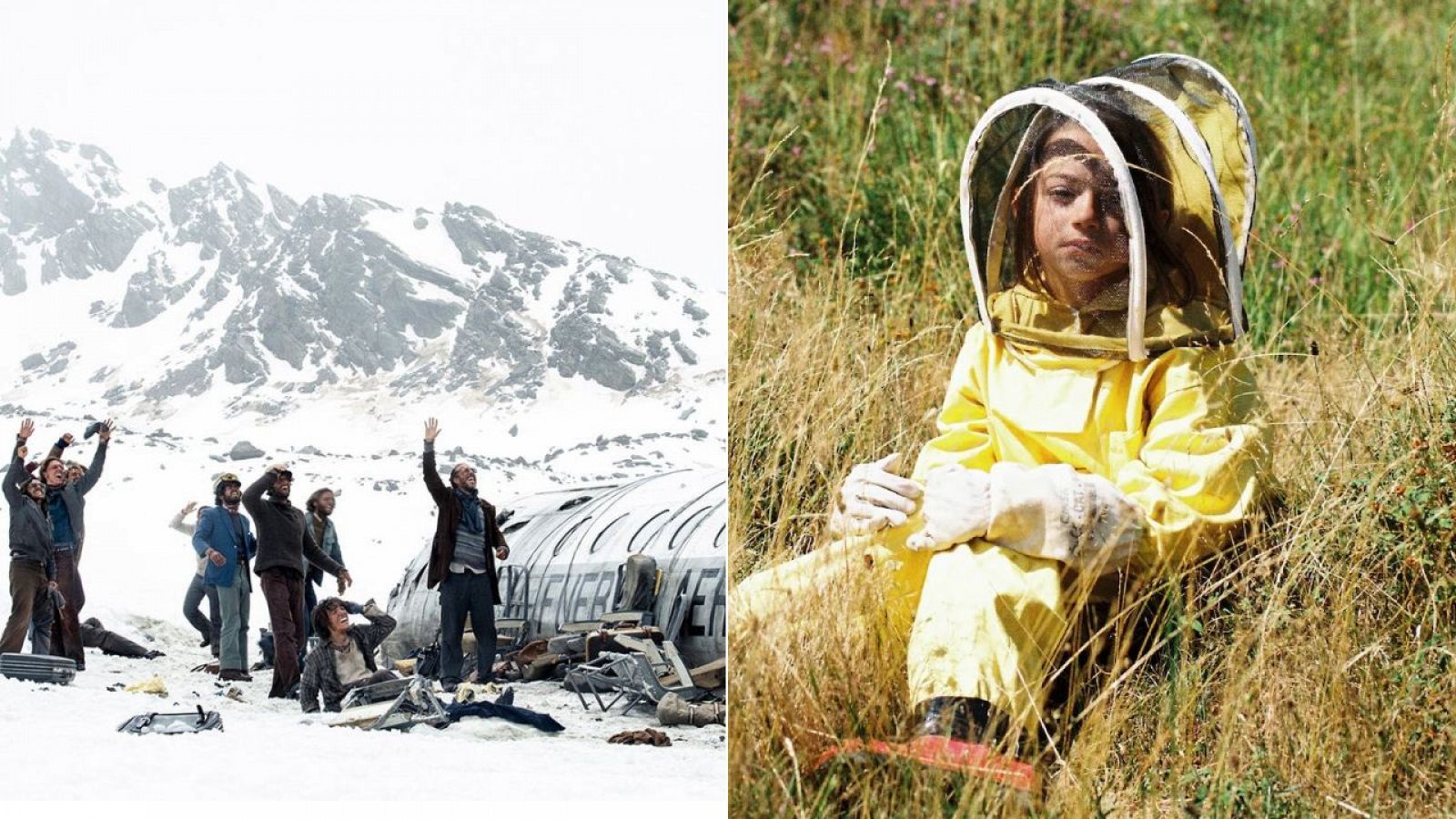 Presentadores y claves de los Goya 2024: Imágenes de 'La sociedad de la nieve' y '20.000 especies de abejas'