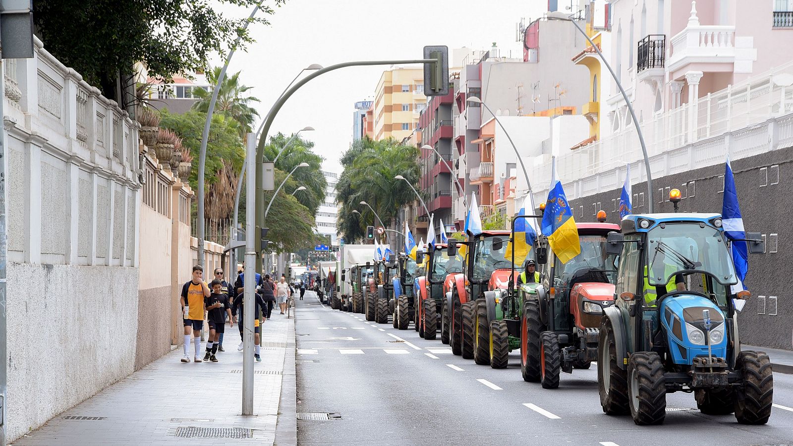 Los agricultores protestan en Tenerife por una renta agraria digna