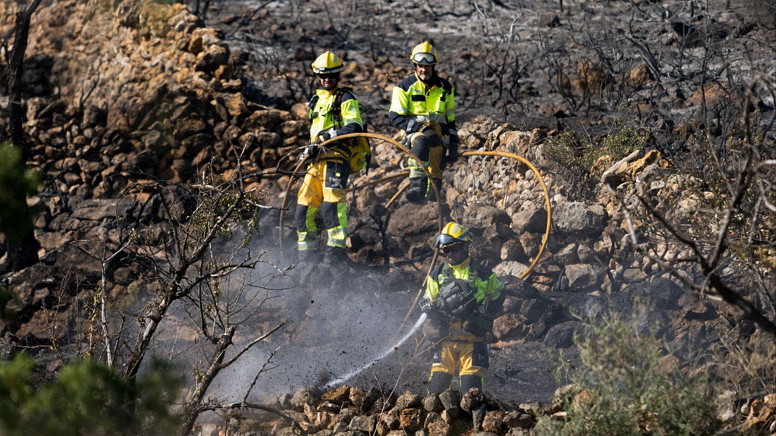 El Gobierno aprueba el estatuto de bomberos forestales y agentes medioambientales