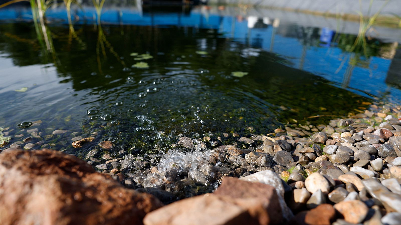 La justicia europea condena a España por no evitar la contaminación del agua por exceso de nitratos por la agricultura