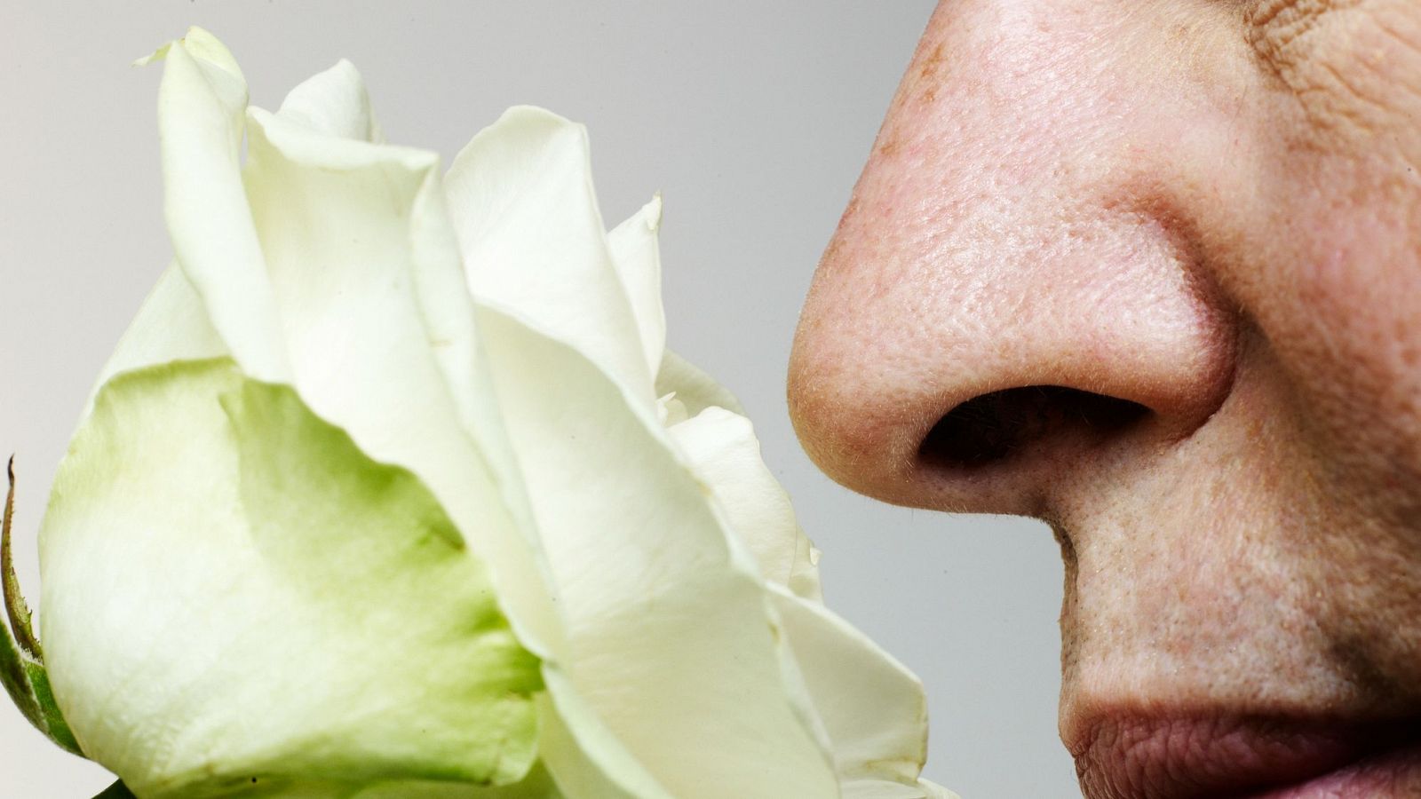 Lo que no sabías del sentido del olfato