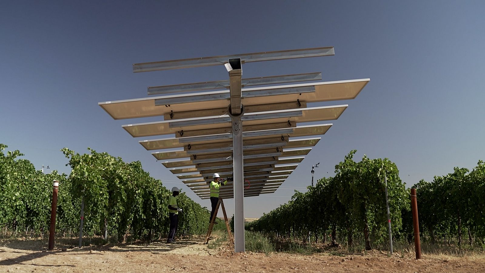El proyecto Winesolar, en Toledo, combina viñedos y paneles solares