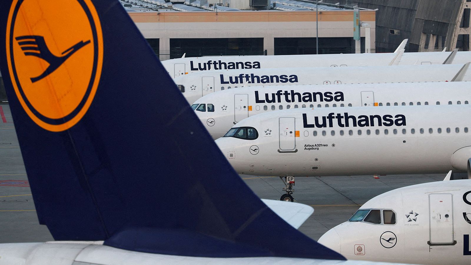 Varios aviones de Lufthansa en el aeropuerto de Frankfurt, Alemania
