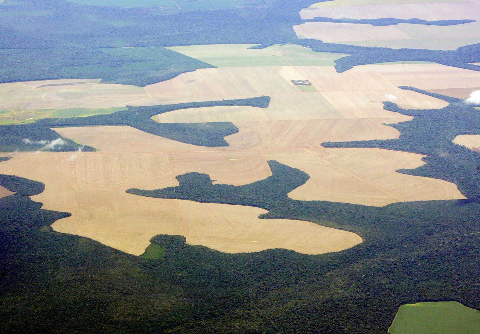 La deforestación está directamente relacionada con la subida del precio de los alimentos. En la imagen, terrenos deforestados para plantar soja en mitad de la selva Amazónica, en Brasil.