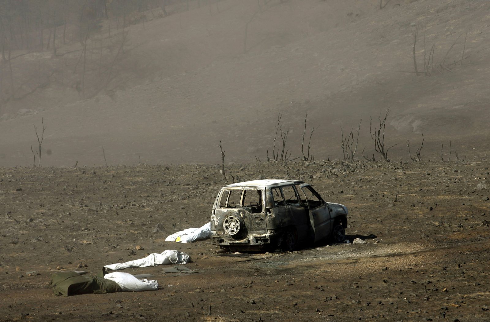 Blackened corpses lay beside charred vehicle after deadly forest fire in central Spain.