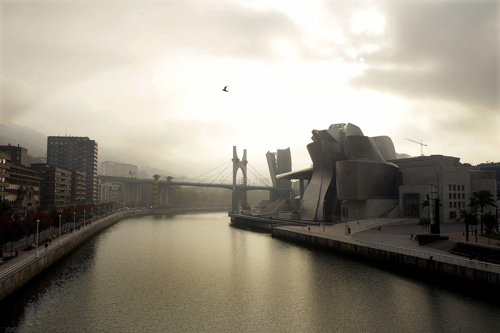 Vista general del Museo Guggenheim de Bilbao