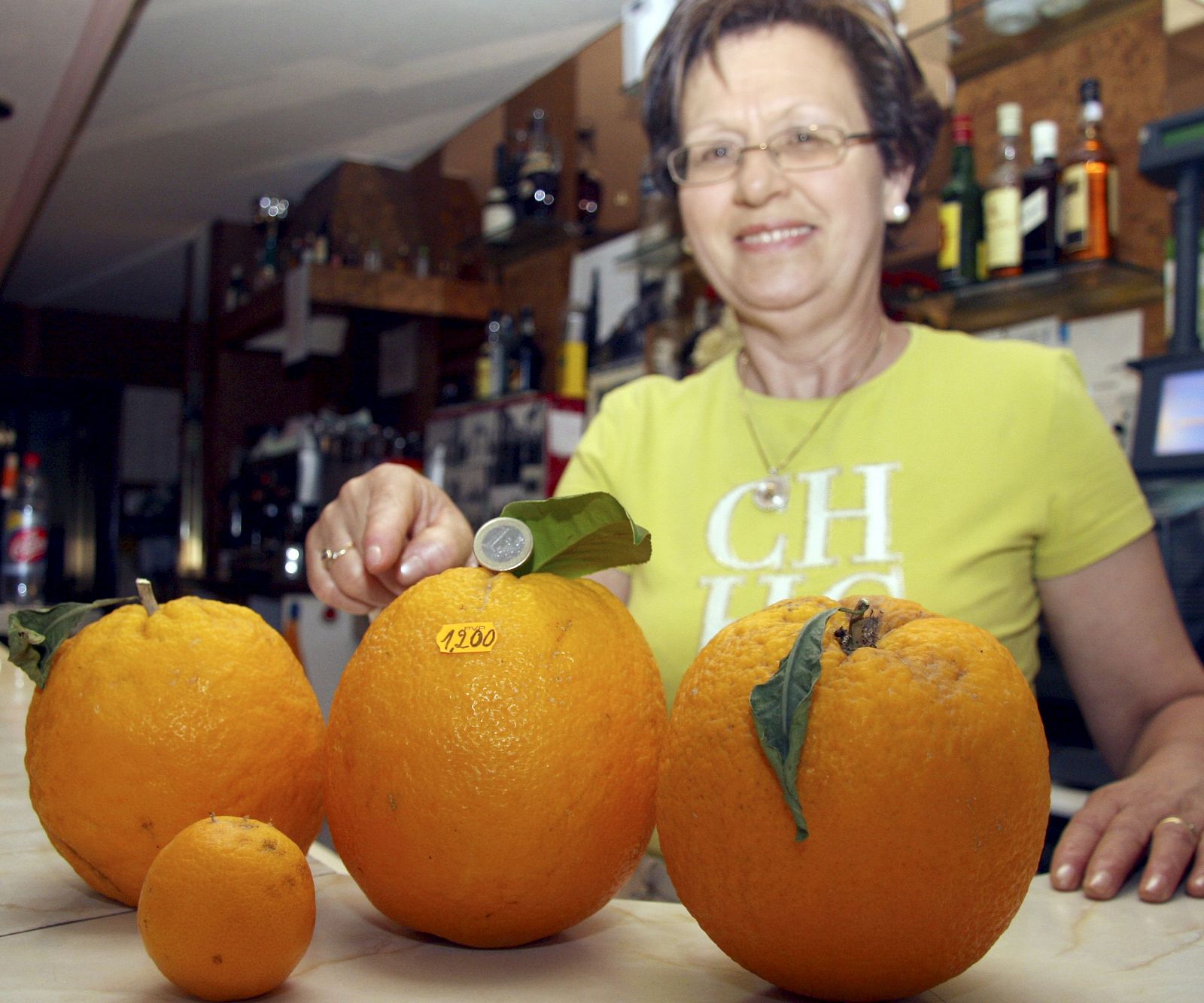 Naranjas de más de un kilo a orillas del Duero