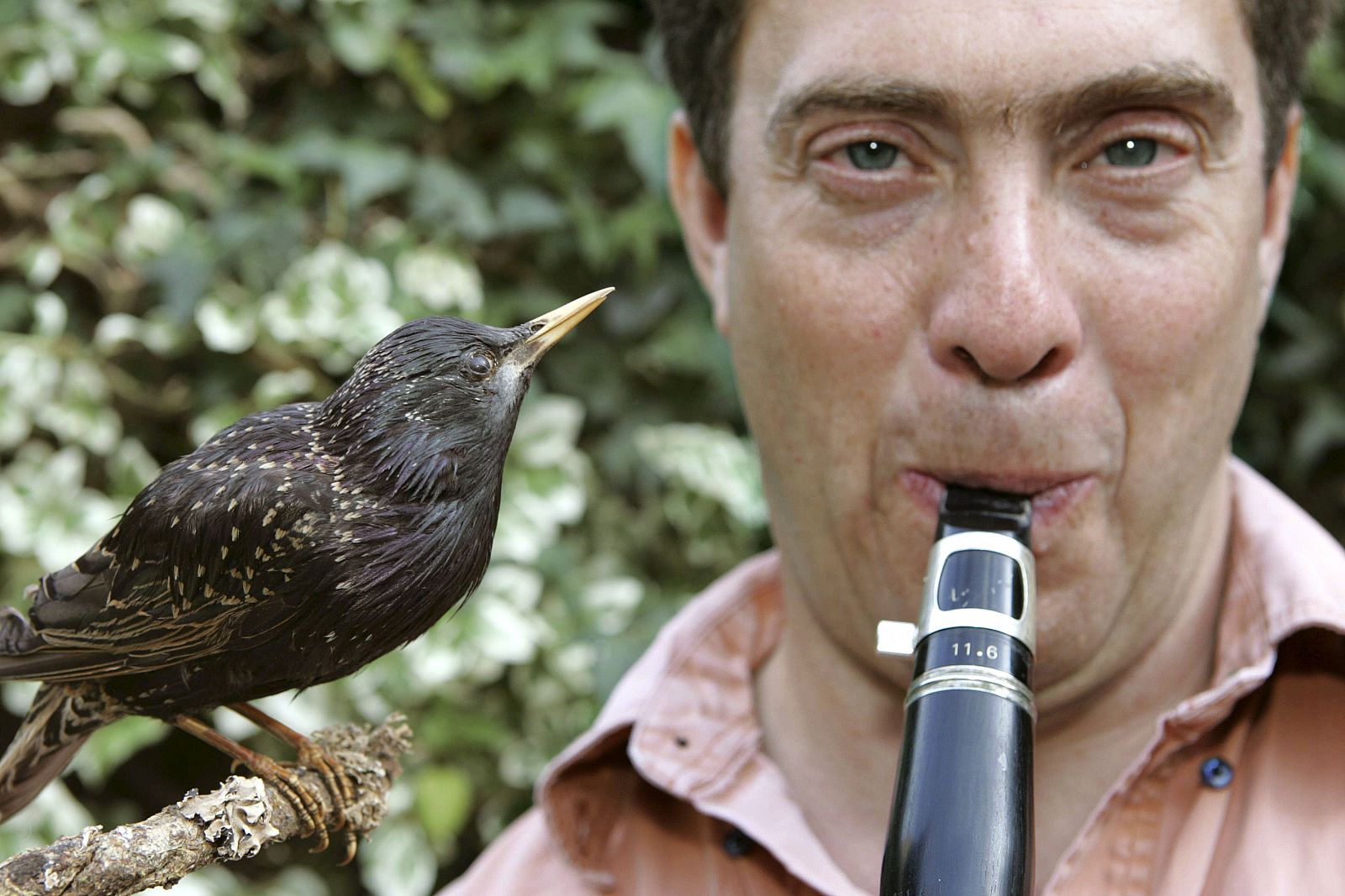El ornitólogo y músico David Rothenberg con un pájaro