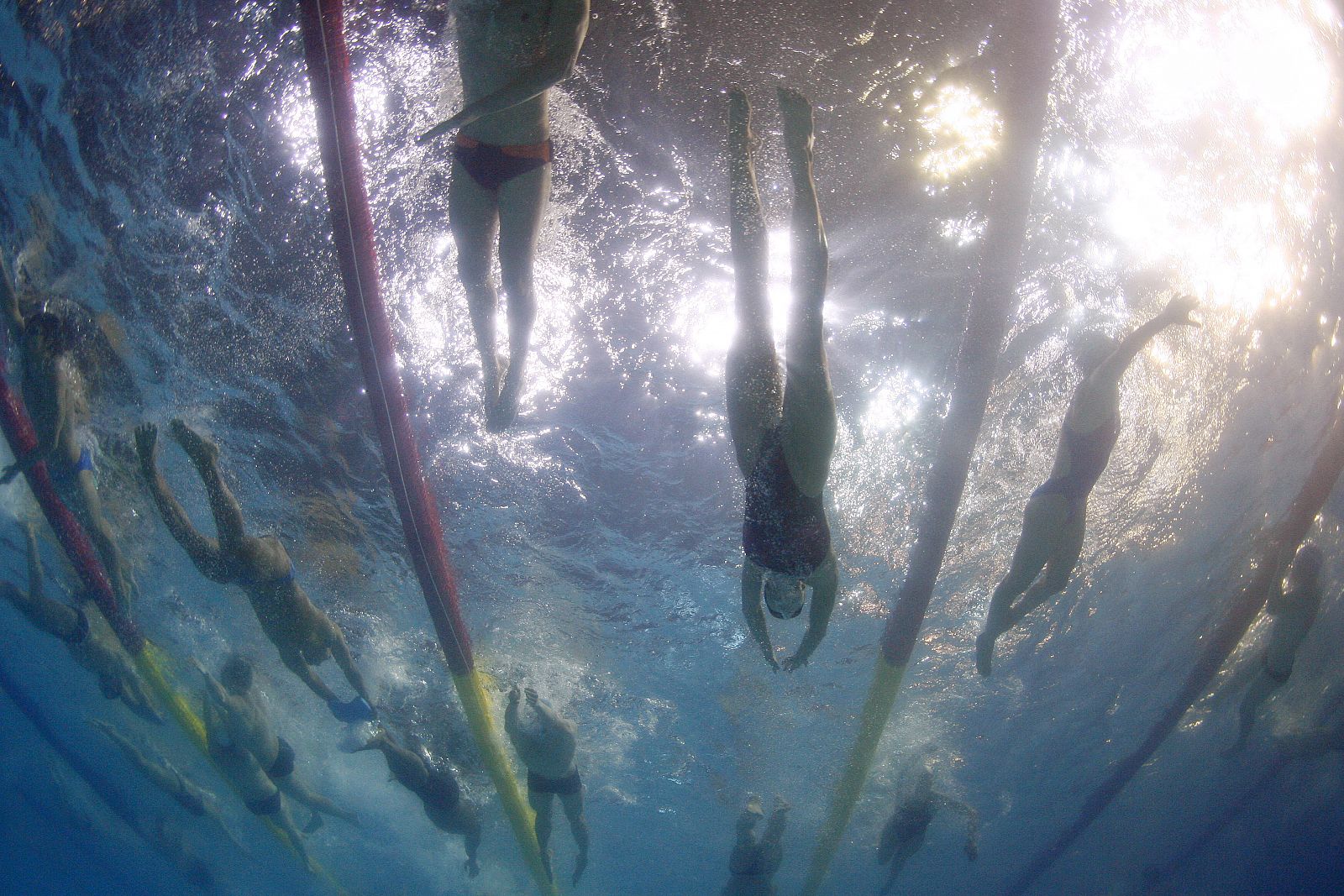 Nadadores en una piscina de competición.