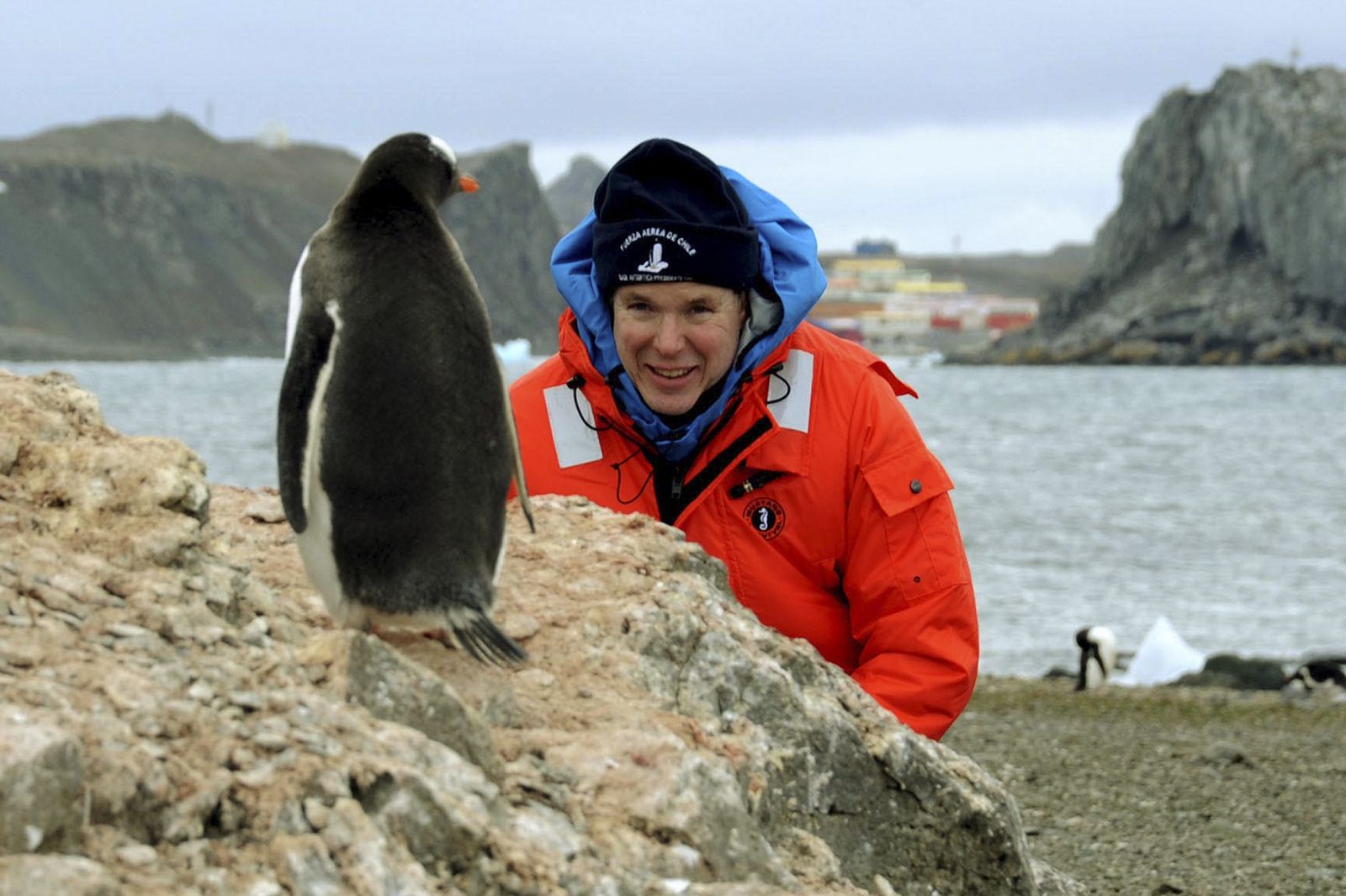 Handout photo of Prince Albert of Monaco watching a penguin in the Antarctic continent