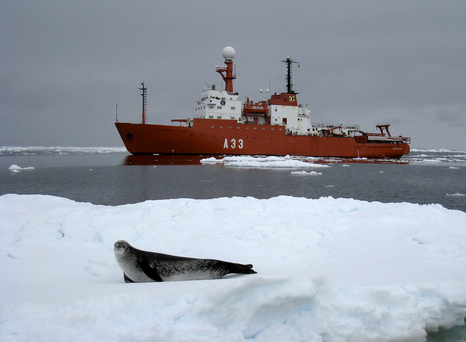 El buque Hespérides navega entre los hielos de la Antártida