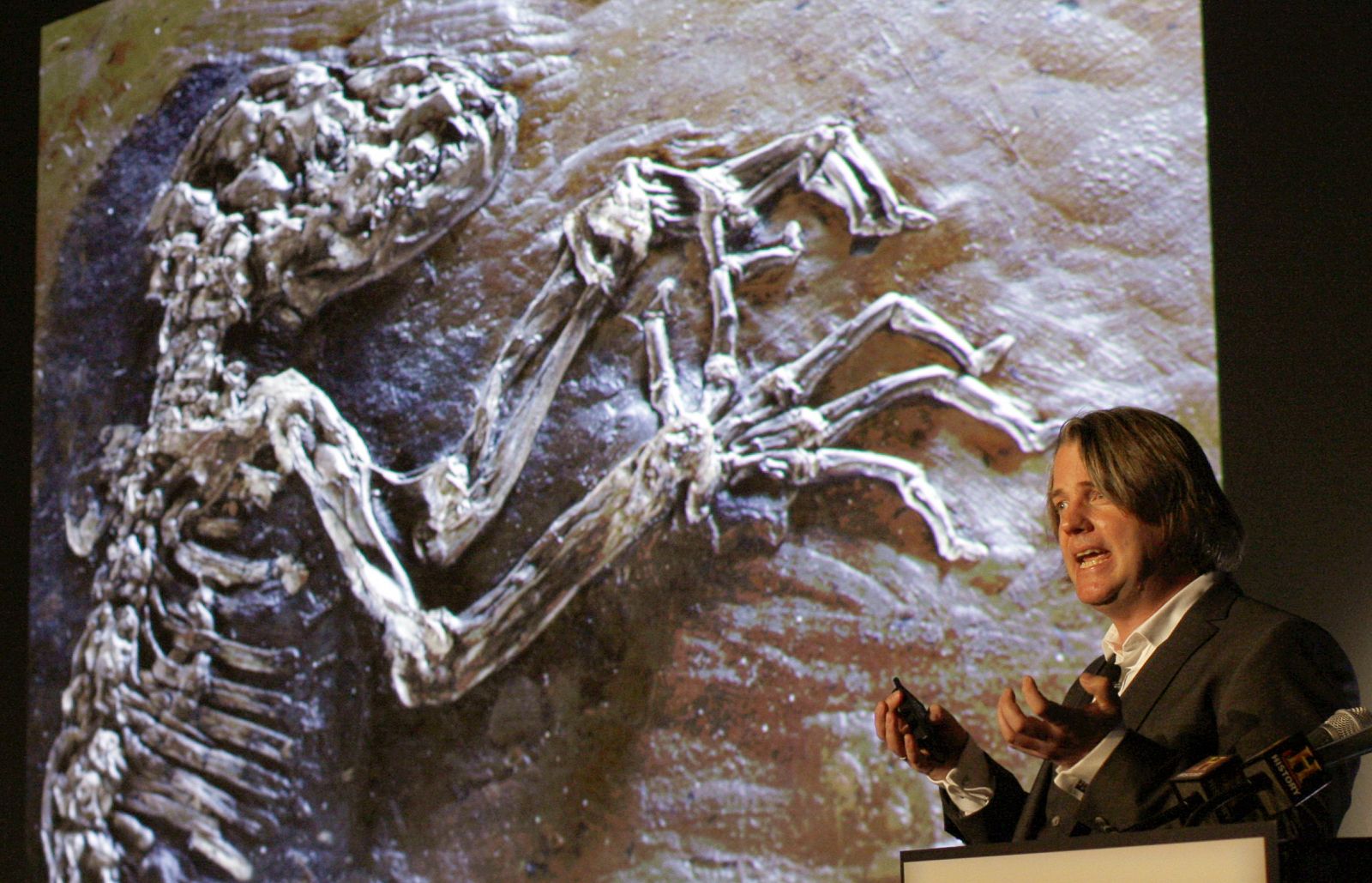 47 million year old fossilized primate specimen known as " Ida" unveiled at New York's Museum of Natural History