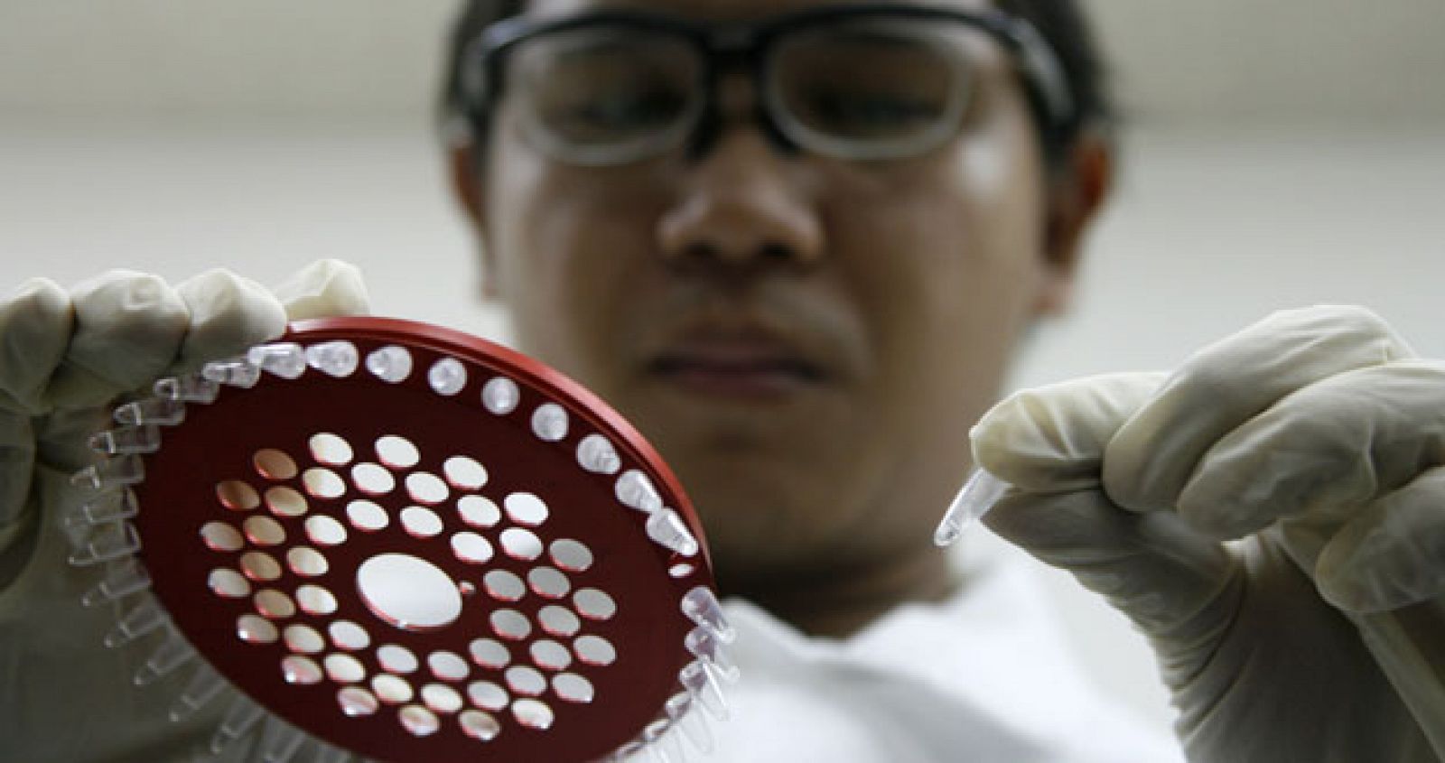 Un laboratorio técnico muestra el testing Kit que determina la presencia del nuevo virus de la gripe