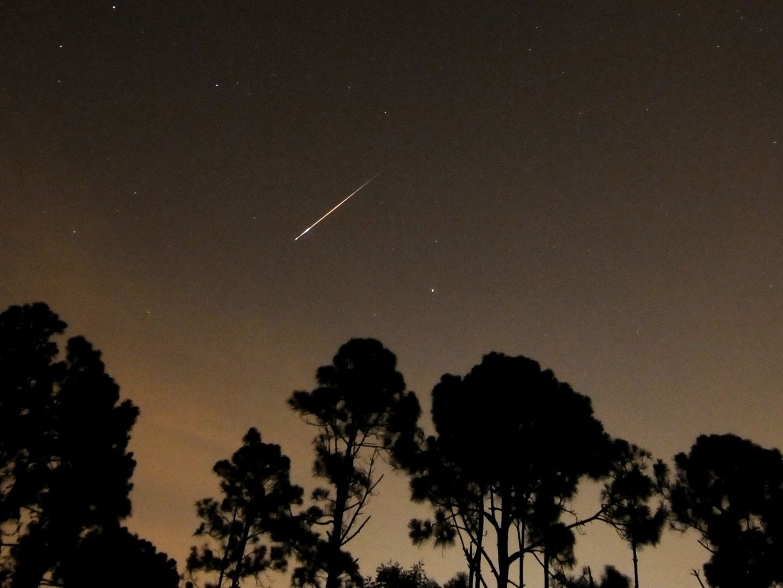 A Perseid meteor streaks towards the horizon during the annual Persied meteor shower in Palm Beach Gardens