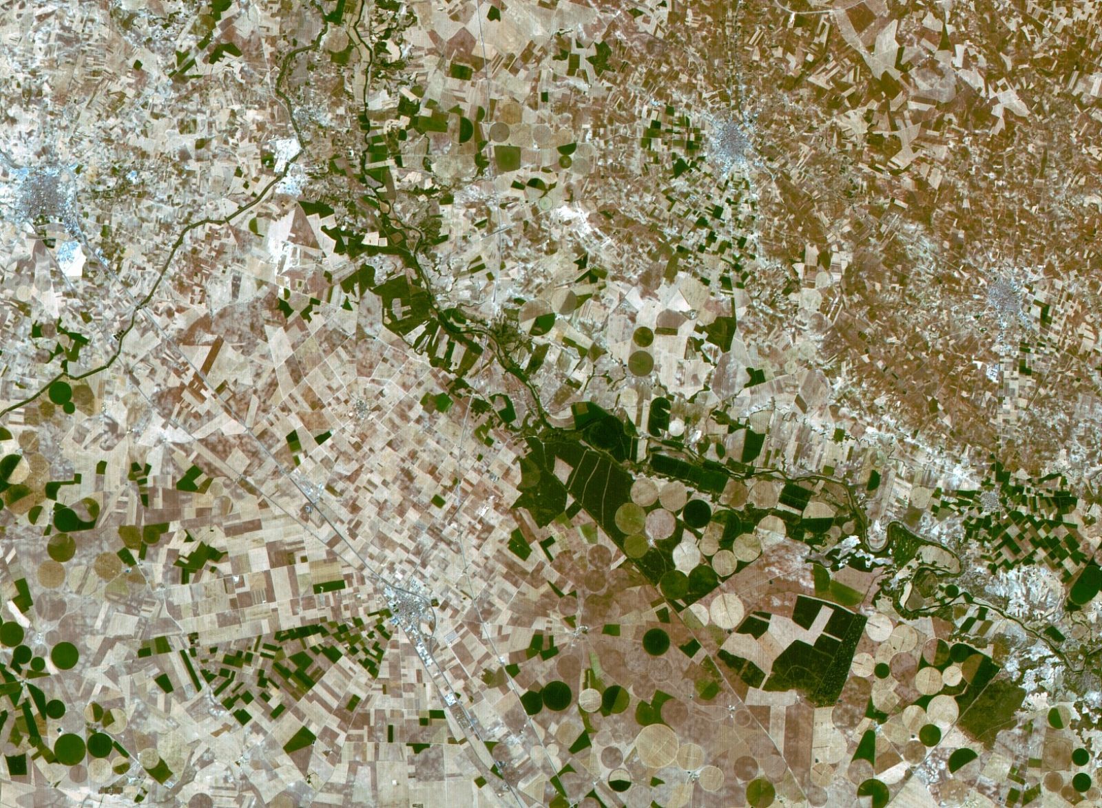 En la imagen aparecen los campos de Castilla-La Mancha y se aprecian plantaciones agrícolas, la localidad albaceteña de La Roda y el río Júcar.
