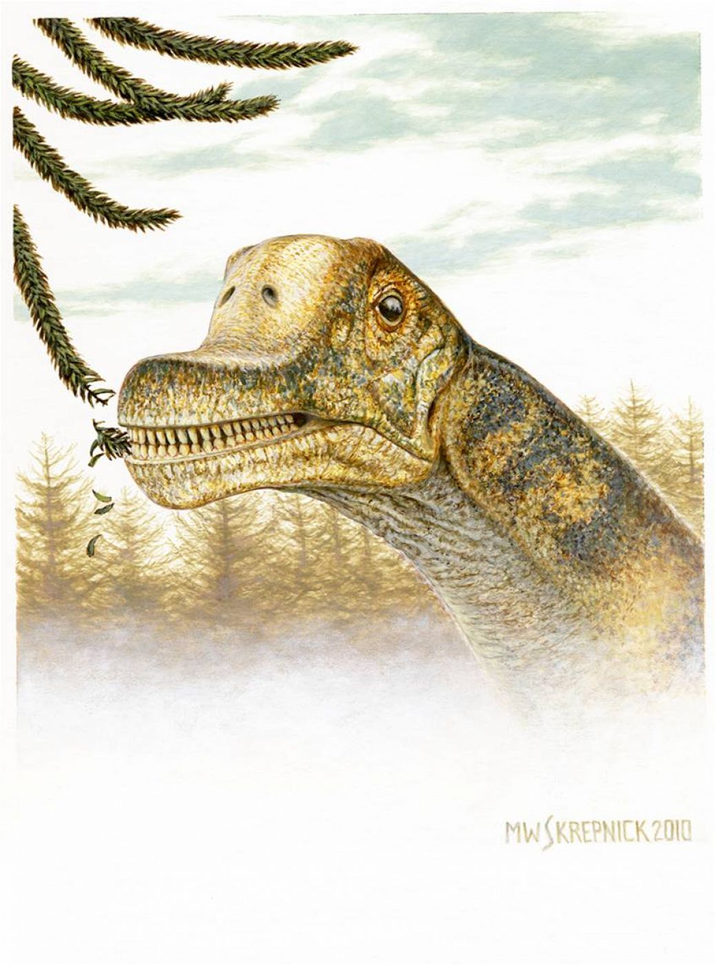 Los saurópodos son los animales terrestres más grandes, largos y pesados que han habitado la Tierra.