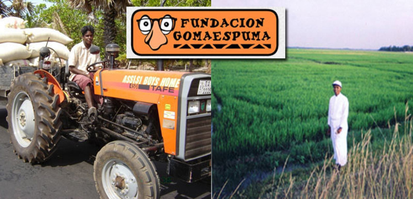 fundación gomaespuma