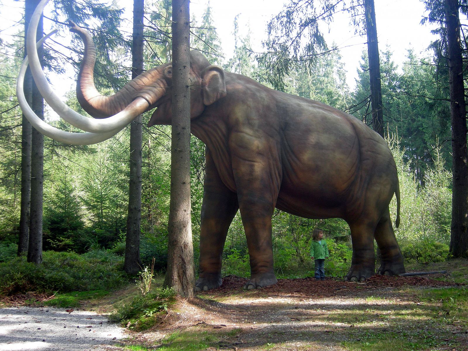 Reconstrucción a tamaño real de un mamut