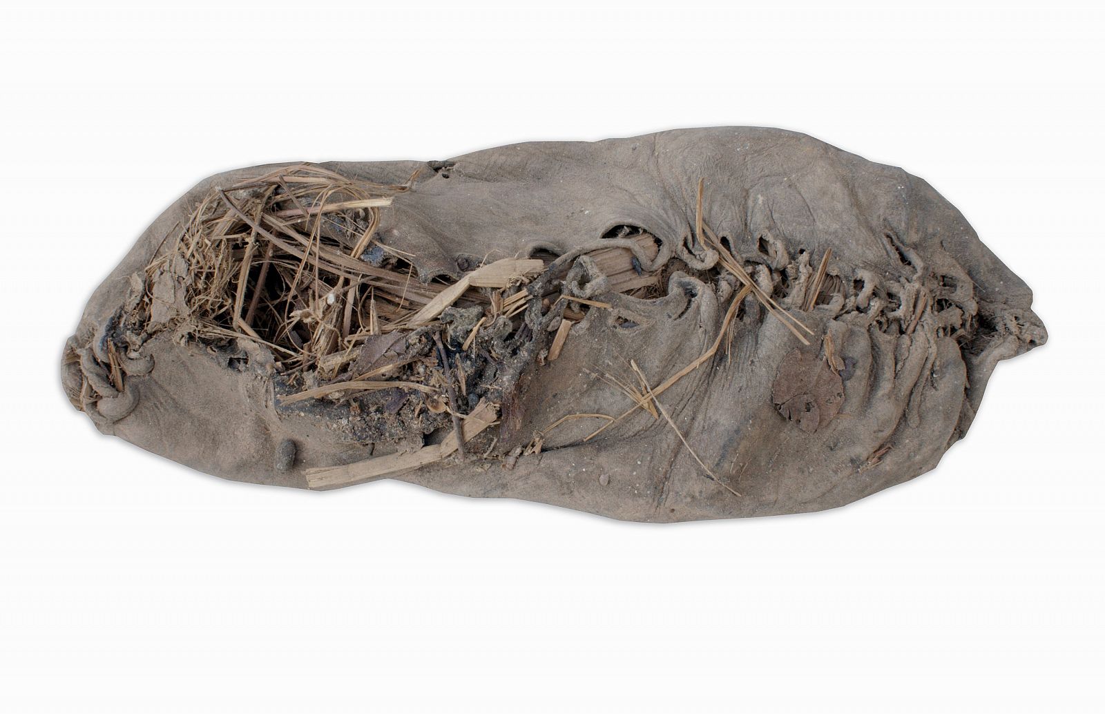What is thought to be the world's oldest shoe is seen in a photo released after its discovery by an archaeology team from University College Cork