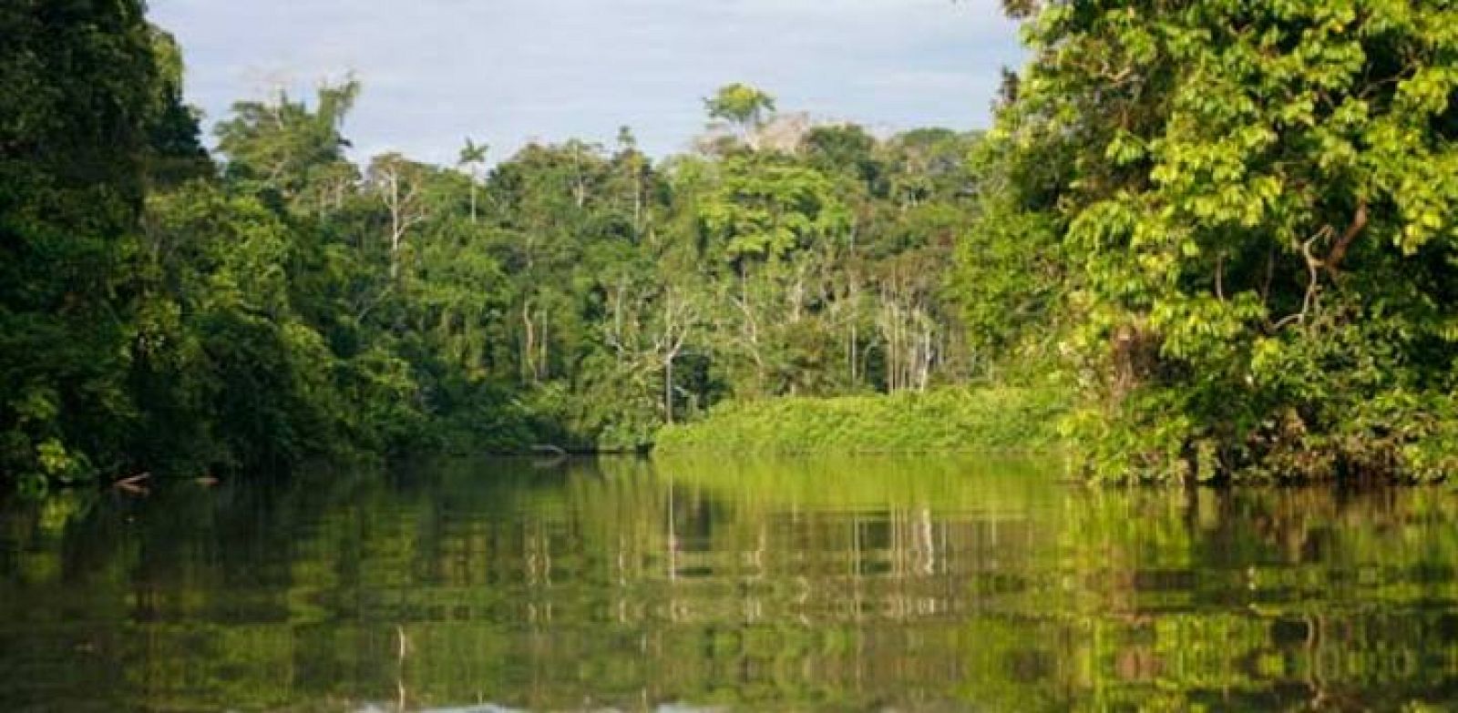Una imagen de la selva ecuatoriana