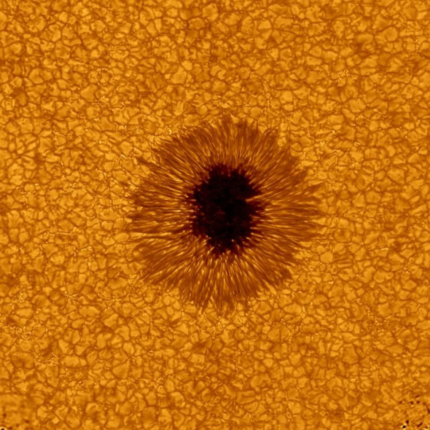 Imagen de la mancha captada por el Nuevo Telescopio Solar del Observatorio Solar Gran Oso