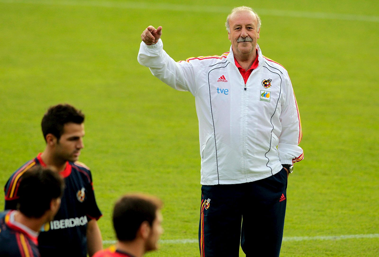 El entrenador de la selección española de fútbol, Vicente Del Bosque