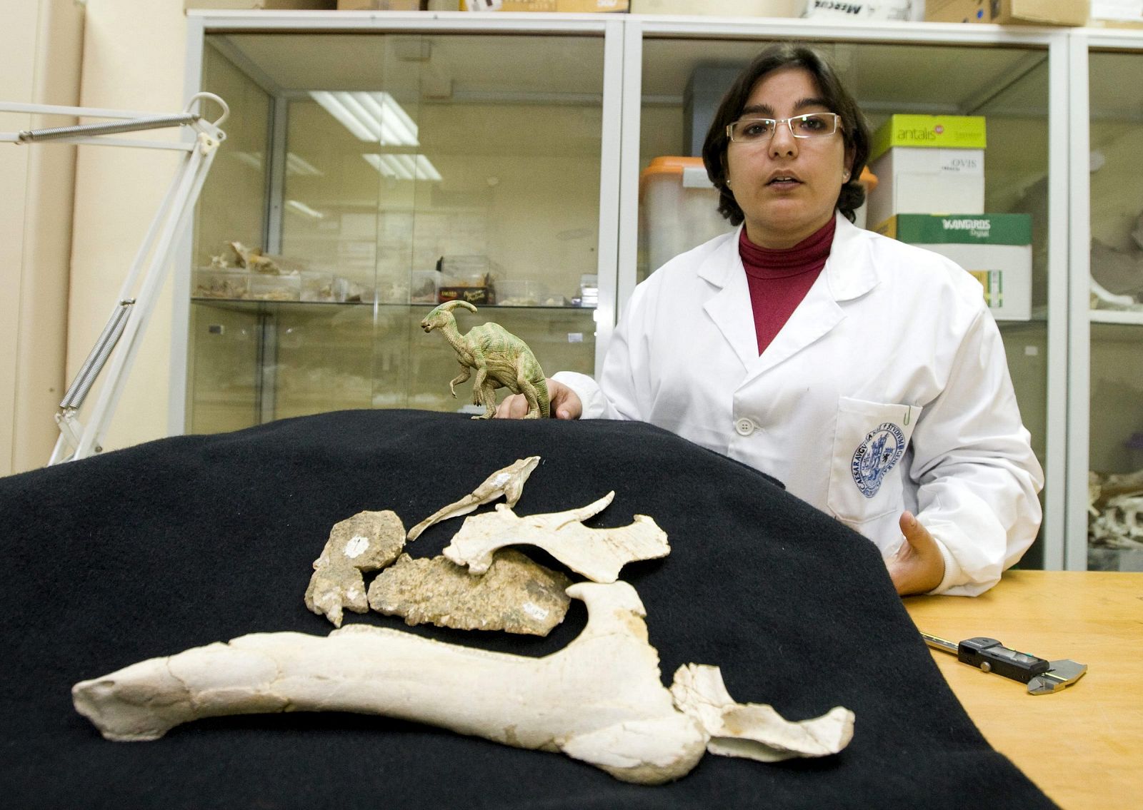 Científicos españoles descubren en Huesca un dinosaurio desconocido en Europa