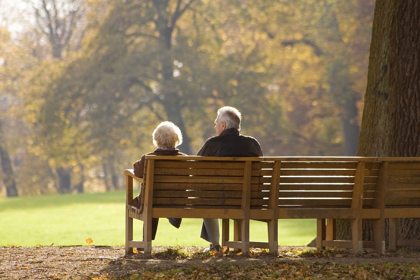El CSIC quiere analizar cómo envejece la población española