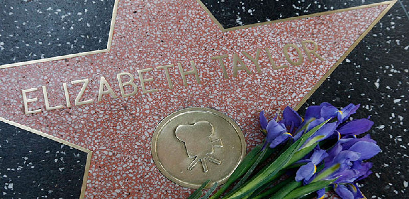Flores sobre la estrella de elizabeth Taylor en el paseo de la fama de Hollywood