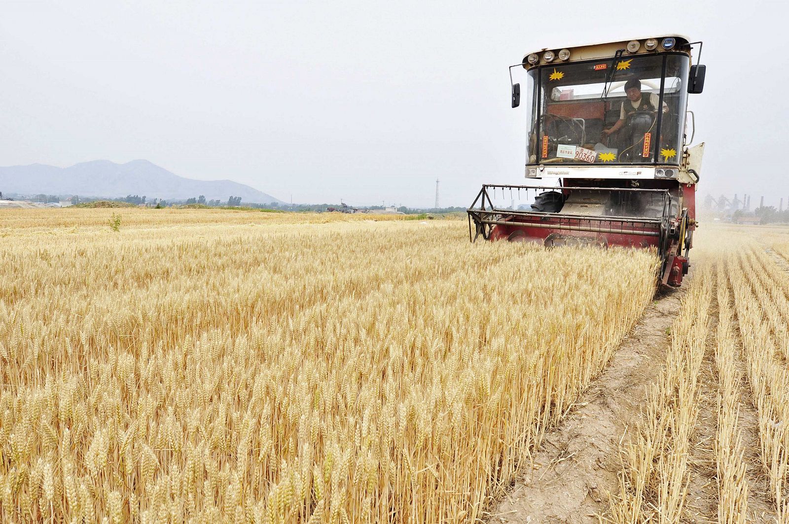 Un agricultor conduce un tractor en la provincia de Shandong en China