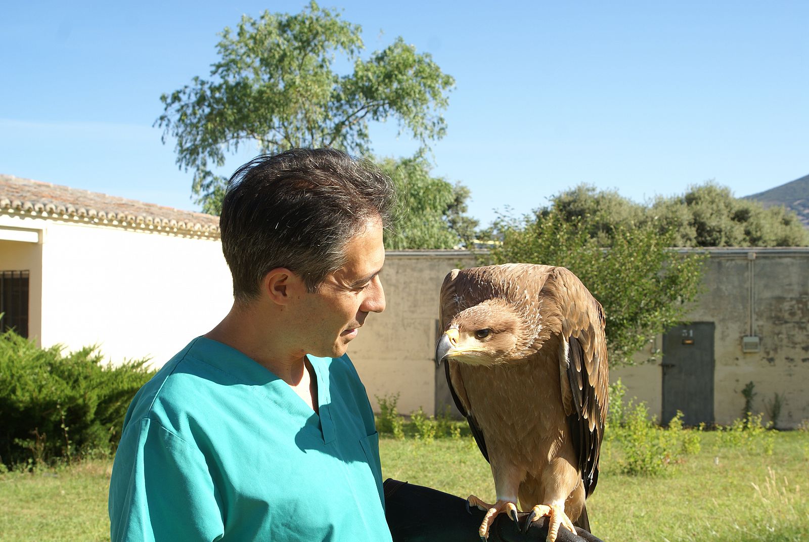 El veterinario Juan Manuel Blanco sostiene en su brazo a María Airam, el primer águila imperial nacido en cautividad en el mundo.