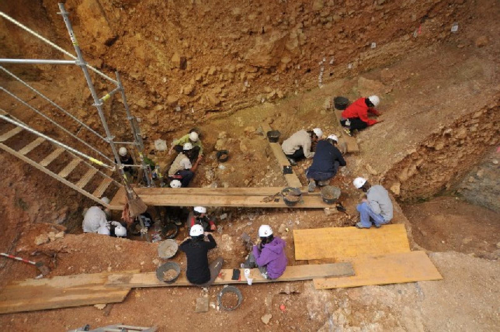 Los habitantes de Atapuerca comían tortugas