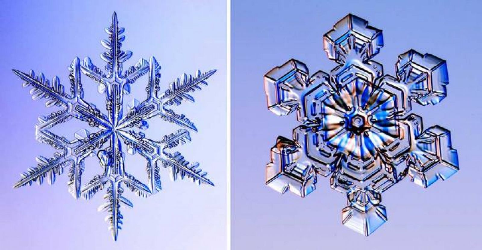  Fotografías de dos copos de nieve reales