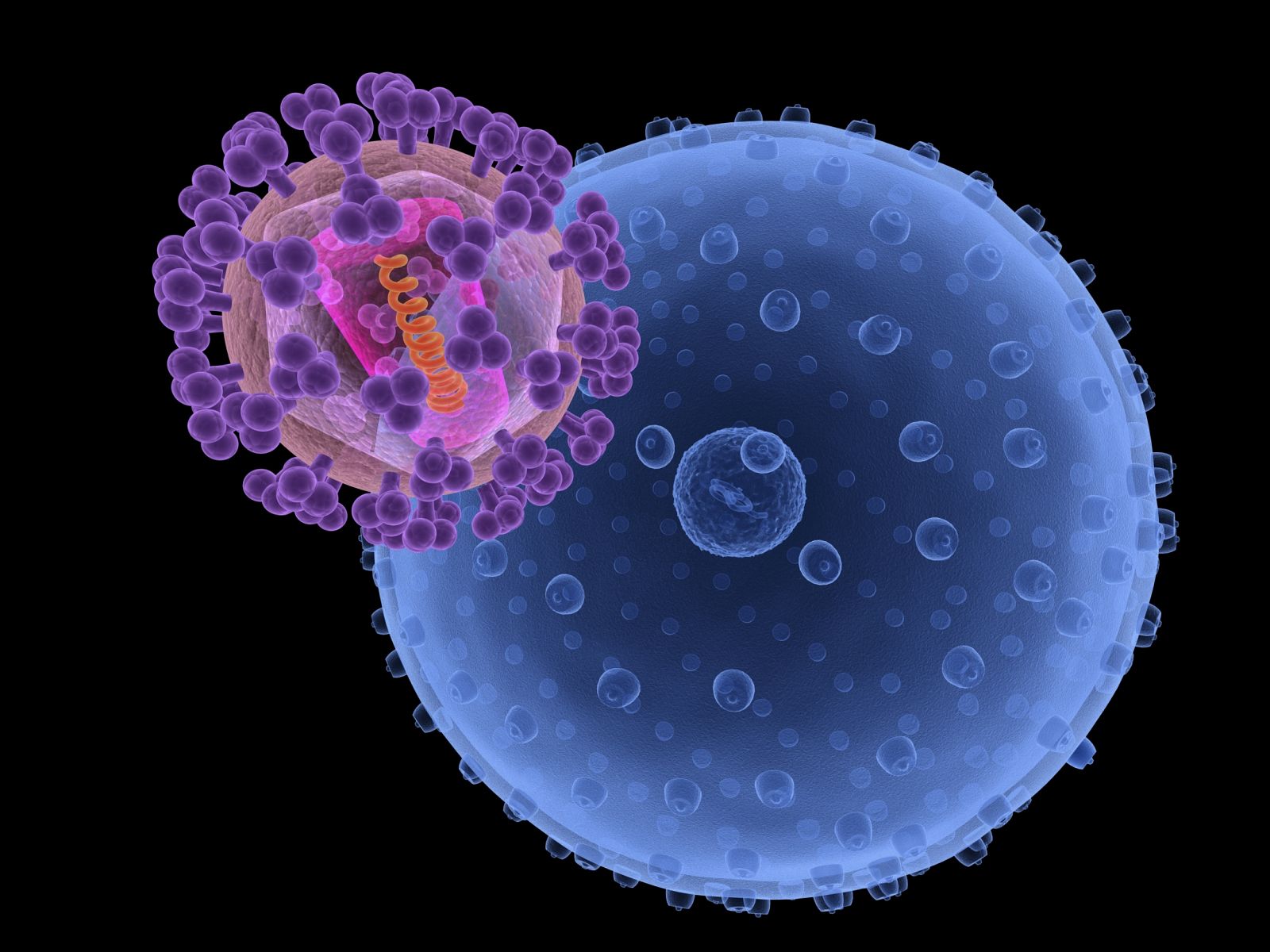 Recreación de la infección de una célula por un virus del VIH