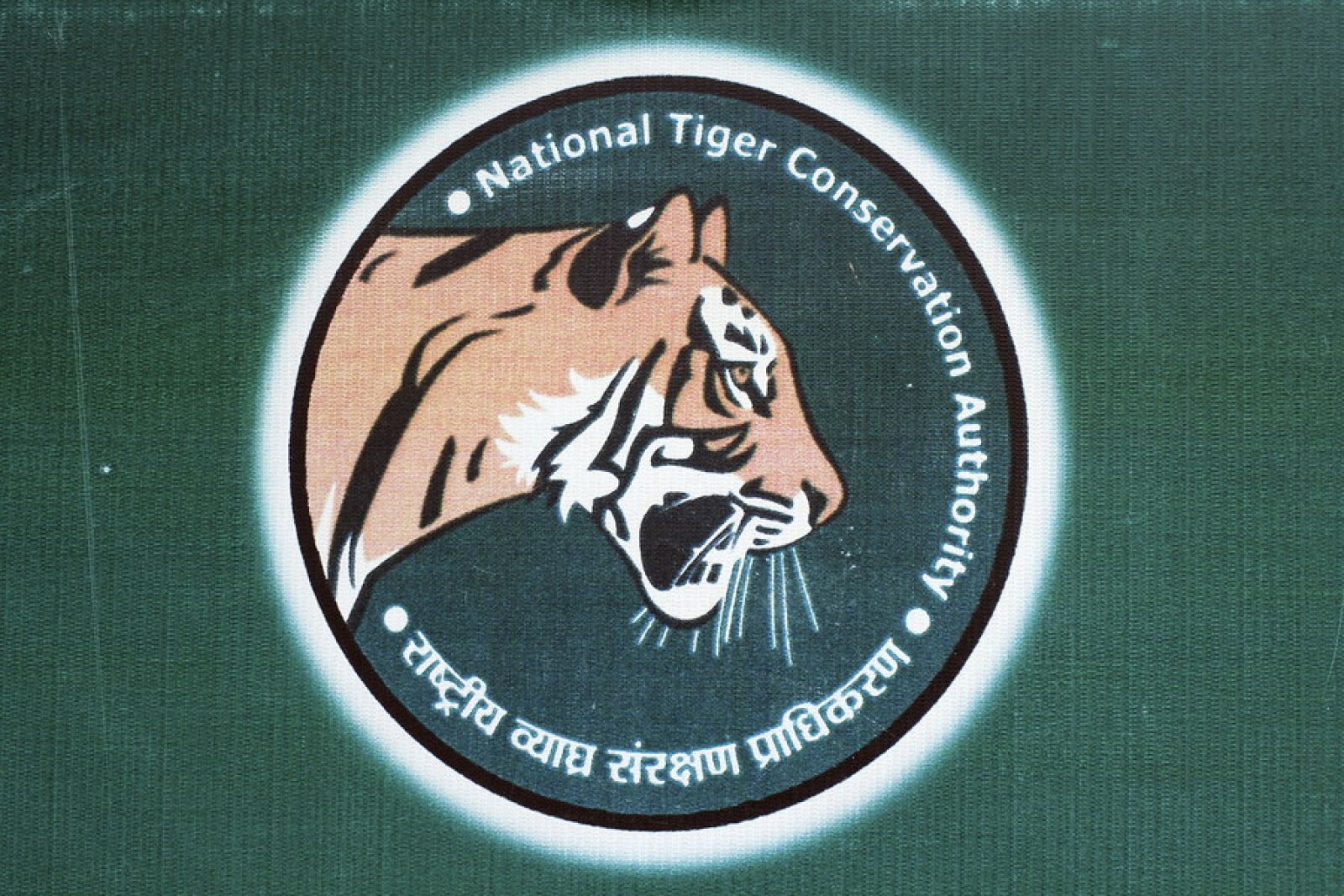 Las patrullas especiales pretenden evitar la caza ilegal y el contrabando de tigres