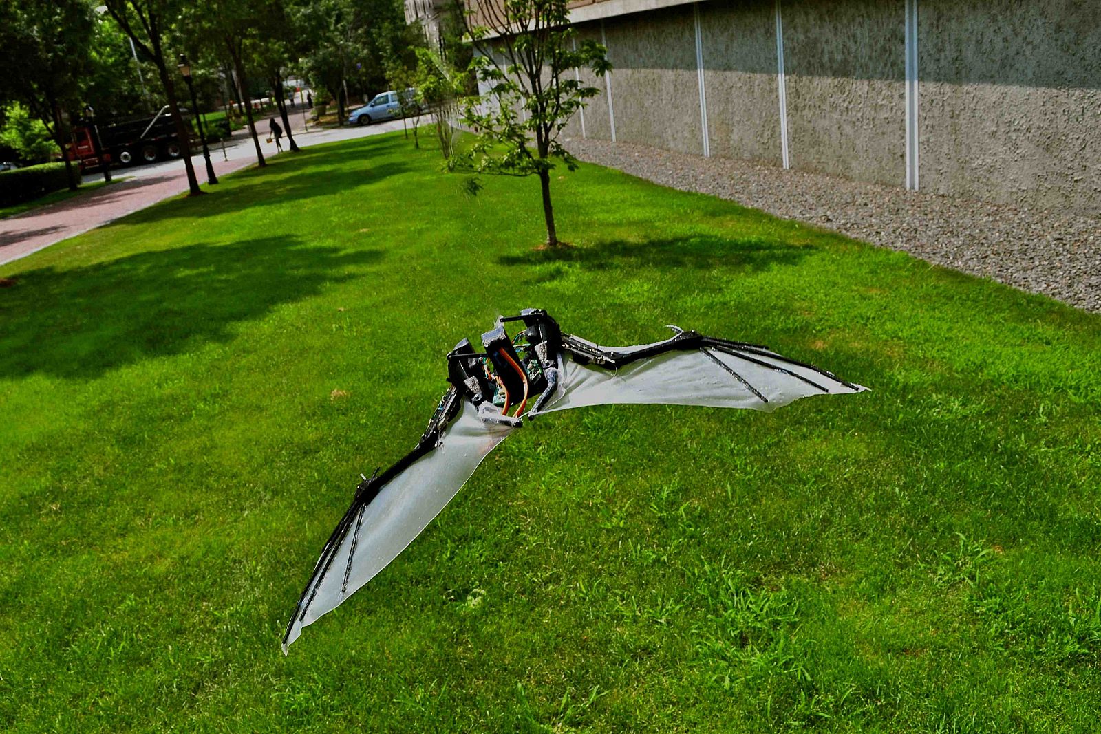 El micro robot aéreo BaTboT está inspirado en la fisionomía y biomecánica del murcielago