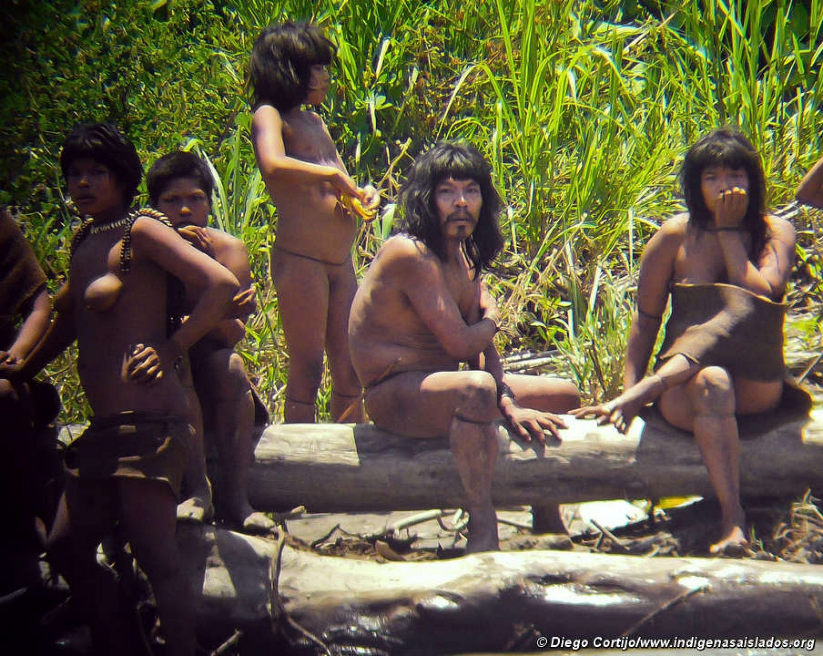 La ONG señala que son las imágenes "más detalladas" que jamás se han obtenido de una tribu no contactada