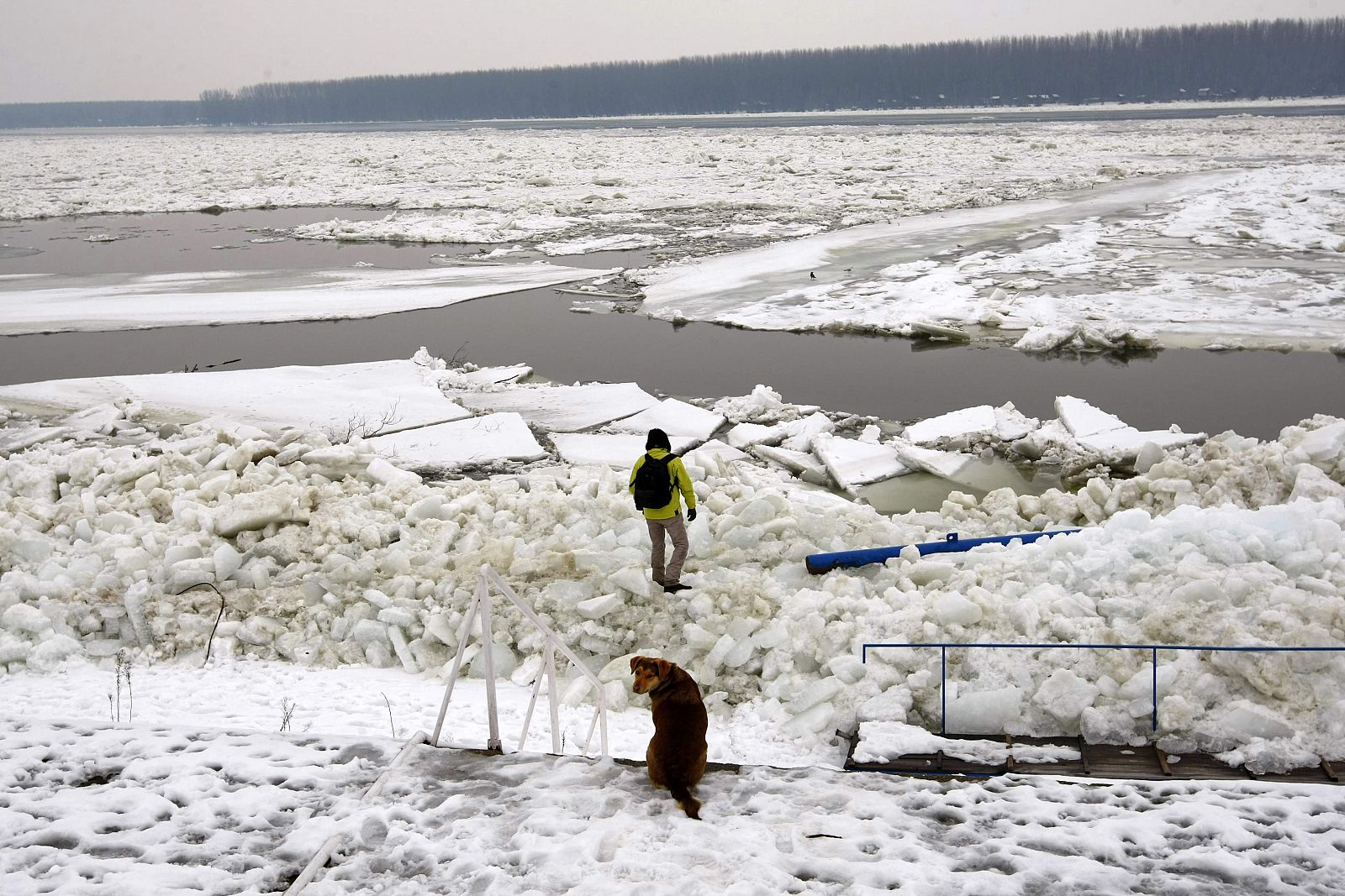 Bloques de hielo en el Danubio, a su paso por Belgrado