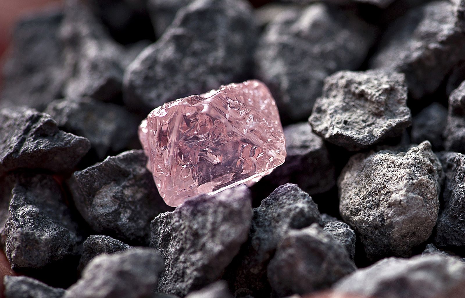 Es el mayor diamante rosa en bruto descubierto hasta ahora en una mina de Australia, de 12,76 kilates y que puede alcanzar un precio próximo a los 10,5 millones de dólares