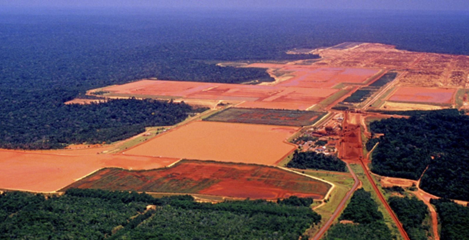 Imagen de la selva amazónica, que está fragmentada por la construcción de una fábrica maderera y de zonas de cultivo