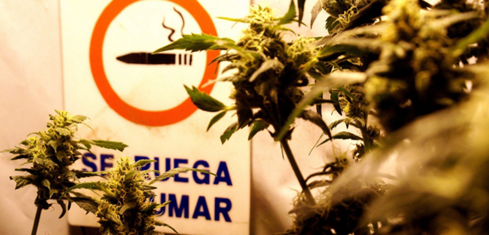 El presidente de Uruguay, José Mujica, presenta el proyecto de ley para legalizar la marihuana este miércoles.
