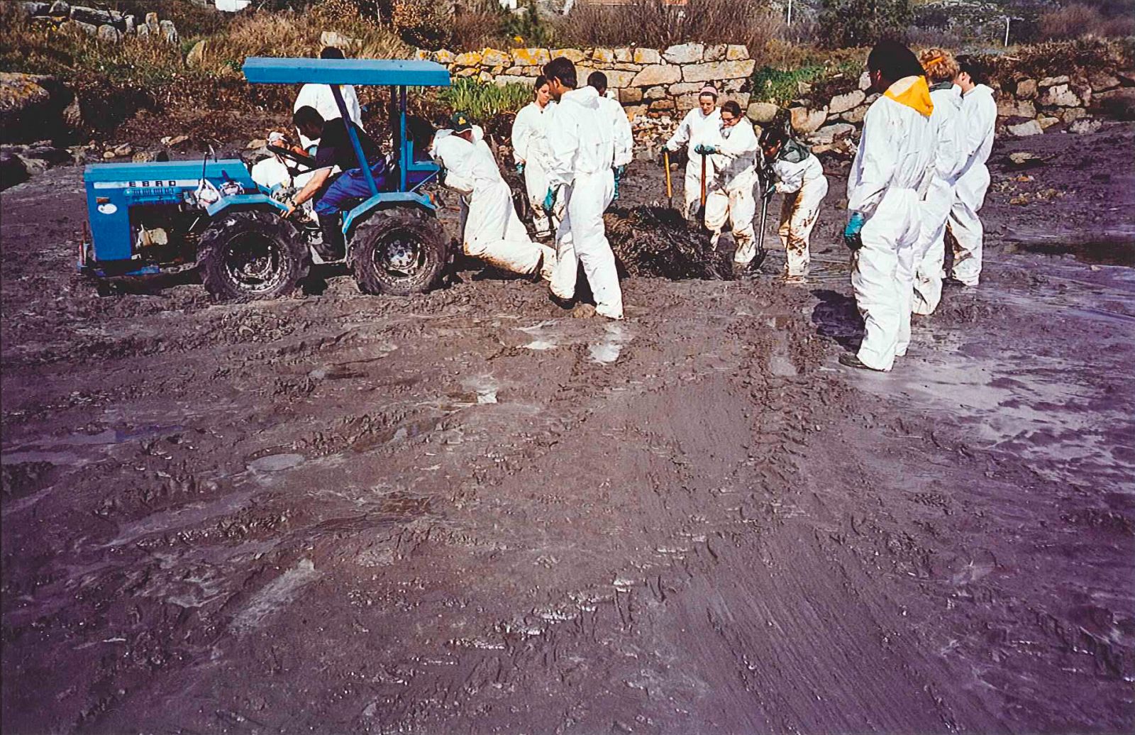 Varios voluntarios en las costas gallgeas hace diez años, en plena faena de limpieza del chapapote.