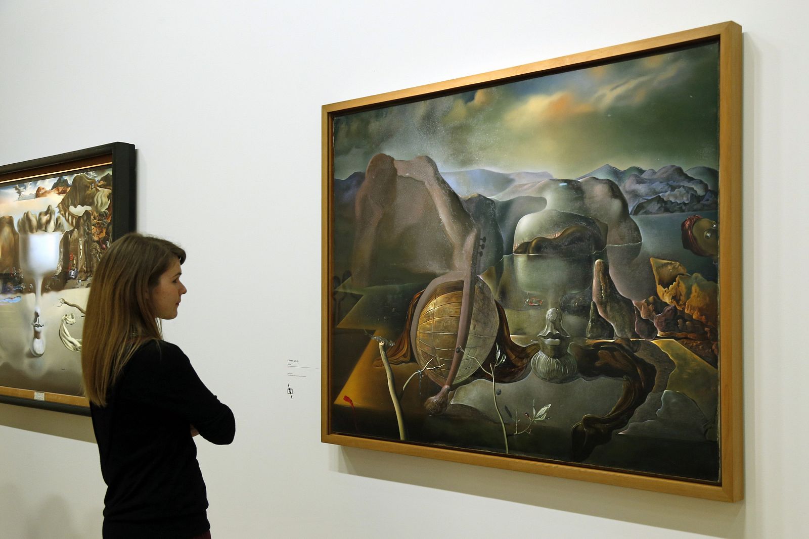 A visitor looks at a painting by Salvador Dali during a press visit of the exhibition "Dali" at the Centre Pompidou modern art museum in Paris