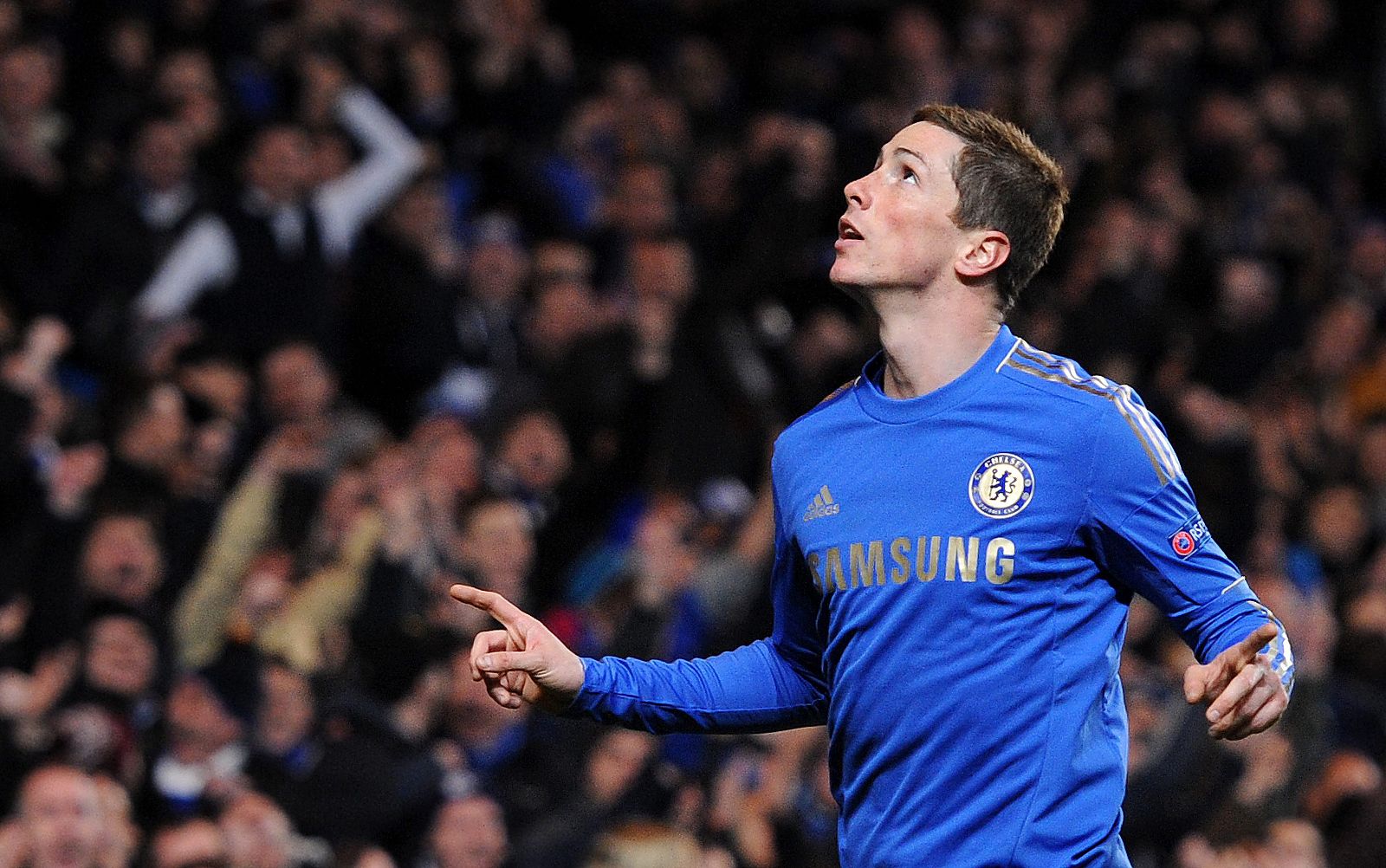 El jugador del Chelsea Fernando Torres celebra su gol ante el Steaua Bucarest.
