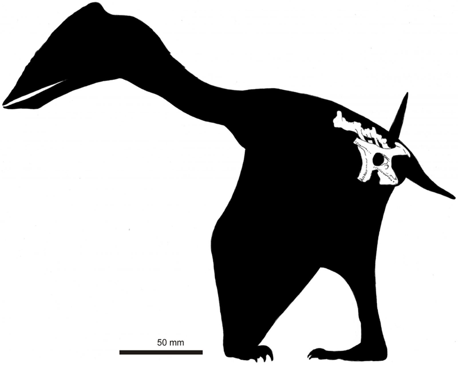 Reconstrucción especulativa del 'Vectidraco daisymorrisae'