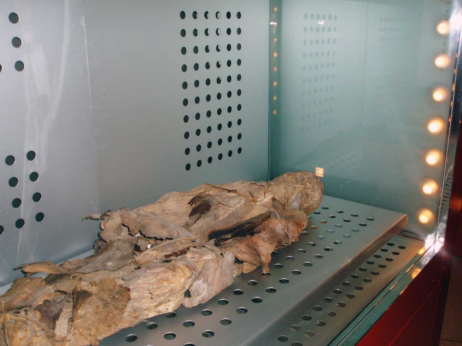 Una momia del Museo de la Naturaleza y el Hombre
