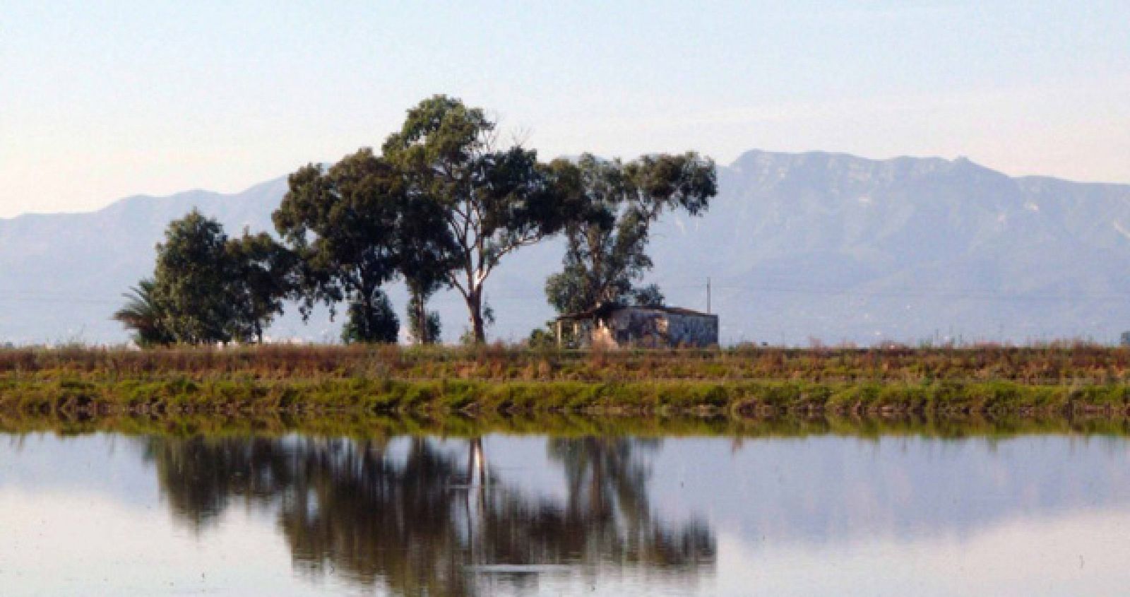 Un rincón del Ebro cerca de su desembocadura.