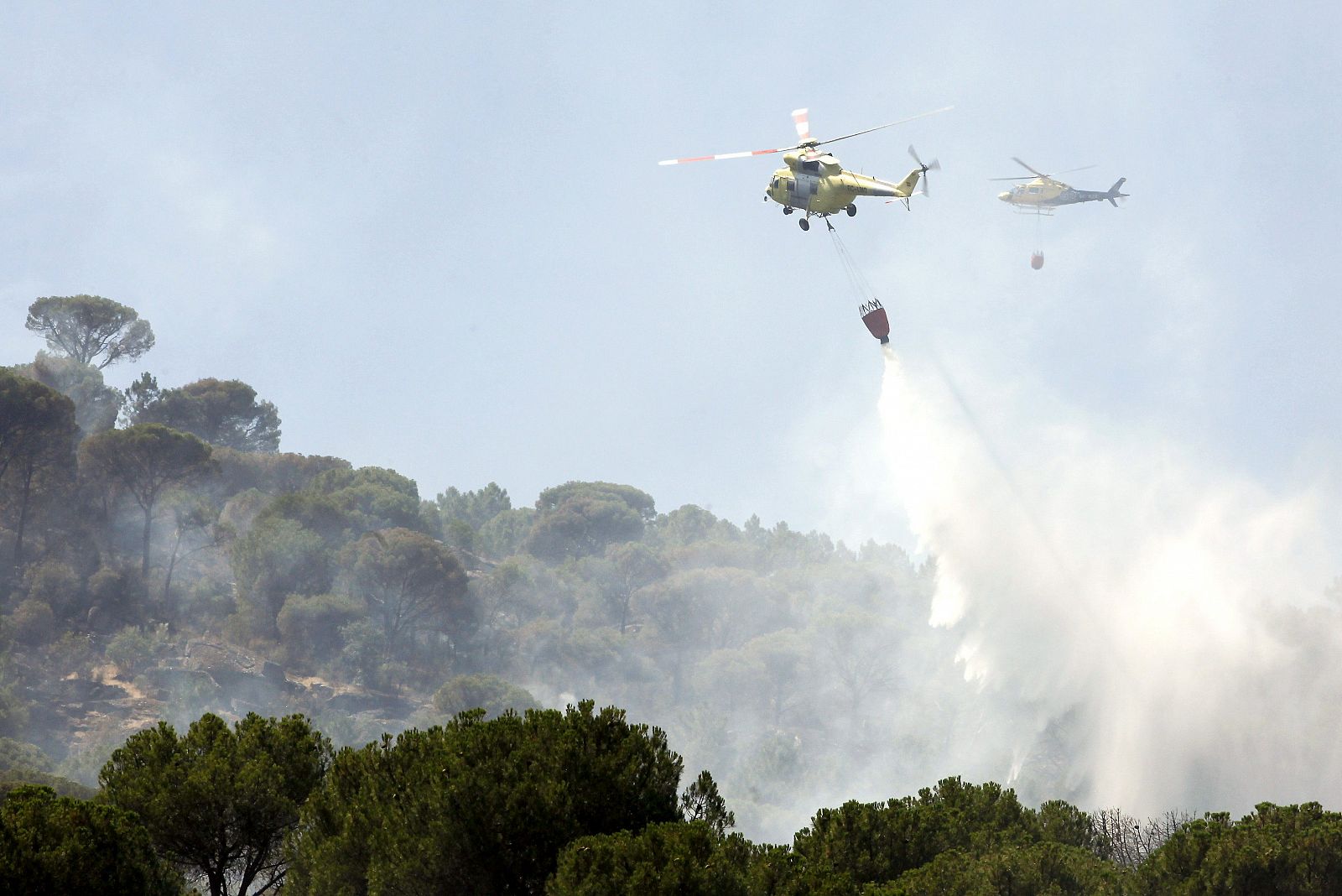 Continúan las labores de extinción del incendio declarado en Cebreros, en Ávila